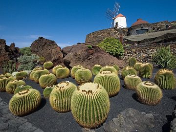 Zdjęcie kierunku: Lanzarote